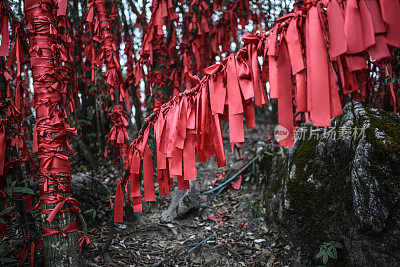 A bunch of make-a-wish red ribbons containing Chinese symbols in the Wish Forest of Tianmen mountain (天门山) Zhangjiajie (张家界) National Park, Chin